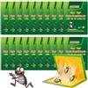 DAZZTIME Trappole per Scarafaggi Blatte,20 Pezzi Trappola per Scarafaggi,Trappole per Scarafaggi e Blatte,Scarafaggi Disinfestazione Casa,per Casa,Cucina,Soggiorno,Bagno,Camera da Letto