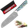 Damascus Santoku Knife 18cm, Professional Kitchen Knives, 67 Layers VG-10 Steel Blade, Abalone Shell Handle with Gift Box, Ultra-Sharp Japanese Chef Knife for Meat, Fruits, Vegetables