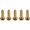 CDQL 50 Viti di Montaggio Cromate, Viti di Ricambio Durevoli per Meccaniche per Chitarra, Piroli, Accordatori, Accessori per Strumenti Musicali (Oro)