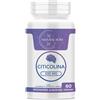 Natural Novi Citicolina 500mg | con Zinco Vitamina B1 B6 Acido Folico B12 | Integratore memoria e concentrazione | 60 Compresse Gluten Free Made in Italy