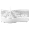 MediaRange Tastiera multimediale ergonomica cablata con rotella scorrevole, QWERTZ (DE/at) T1, dimensioni complete con tasti numerici, tasti funzione e scorciatoie, cavo da 1,8 m, bianco