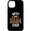 I Love Rough Collies Apparel Custodia per iPhone 13 Miglior cane da compagnia carino nonno collie ruvido