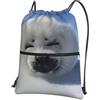 HJFCZH Polar Bear Prints, zaino con cerniera e coulisse, ultra resistente, impermeabile, per viaggi e sport, custodia leggera e pieghevole