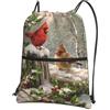 YYHHAOFA Red Bird Holly Berry Branches Stampa Coulisse Zipper Zaino - Impermeabile Viaggio Palestra Borsa con Tasca Frontale & Organizzatore Interno