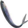 Abaodam Esca Artificiale Affondante in PVC per Pesca Tonno