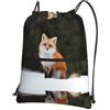 YYHHAOFA Funny Fox Prints, zaino con coulisse e cerniera, leggero, impermeabile, con tasca frontale, per viaggi, sport e yoga