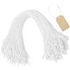 Flintronic Corda di Etichette Pendenti, 2pz(Bianco） | Cordini Nylon Usa e Getta per Etichette Pendenti, Chiusura a Pressione, per Bagagli, Prodotti e Gioielli