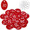 Flintronic Portachiavi Numerati, Targhette Numerate in Plastica, 30 Pezzi