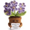 Ysmorla Patata Positiva Portafortuna Regalo Collega Donna, Fiore Uncinetto Viola