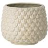 Nordring Vaso Pino - per Fiori da Interno e Piante da Interno, Piante grasse, Cactus, Orchidee M (13,5 cm ø), Verde Chiaro, Ceramica Gres