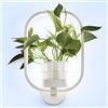 J.SUNUN Lampada da Parete LED Interni Anello Luce Bianca 6000K Applique da Parete Interno Moderno con Vaso da Fiori Lampada a Muro per Soggiorno Camera da Letto Corridoio Scale Illuminazione Bianco