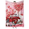 ThrenodyToy Coperta Valentino,Coperta Per San Valentino,Regalo Per Mamma, Moglie, Motivo Rosso, Per Divano o Letto,Coperta Di Lusso In Flanella, Super Comoda e Confortevole, Regalo (pink1)