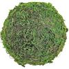 Generic Sfere di muschio essiccato verde decorativo per la casa, riempitivo finto verde per ciotole, matrimoni ed eventi