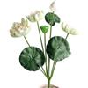 XIZHI Fiore di loto artificiale in schiuma di seta, realistico, bouquet di fiori di loto finti per casa, matrimoni, feste, decorazione, composizione floreale (bianco)