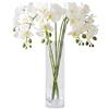 JOSON Set di 6 steli di orchidee artificiali, altezza 68,6 cm, utilizzati per bouquet fai da te, decorazioni per feste di nozze (bianco)