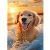 DPIDEA Pittura con diamanti per cani, per adulti, pittura con diamanti 5D, per decorazione domestica, 30 x 40 cm