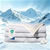 DWR Coperta Rinfrescante 220x240cm, Q-Max > 0,4, Imbottitura 100% Seta Selvatica, Super Morbida e Traspirante Coperta Estiva, Coperta Refrigerante Double-Face per Letto, Divano e Viaggio