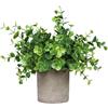 Kellegour Piccole Mini Piante Artificiali in Vaso,Piante Finte da Interno,Verde Plastica Pianta Finta In Vaso,Eucalipto per Decorazioni Casa,Camera da Letto,Bagno,Cucina,Salotto,Ufficio,Scrivania