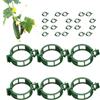 Generico Clip per Piante rampicanti - di Fissaggio in per Viti di, stabilizzatori per riutilizzabili | Supporti per Il Fissaggio del Traliccio da Giardino, Supporti per Il fiss