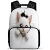 TPISLI Zaino Scolastico 3D Motif Cat per Ragazzi Ragazze Classe 1-3 Borsa Scolastica Cute Kitten 7-12 Anni School Bag, Tasche Laterali Resistente Leggero Ritorno a Scuola