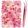 SERAOKICKY 50 Fiori di Ciliegio Sakura Essiccati e Pressati, 4 Variet Rosa Sfumate, 100% Naturali, Fiori Pressati per Resina Epossidica, Sapone, Candele, Scrapbooking e Decorazione Custodie Cellulari