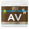 URBAN DOG AV Amminoacidi e Vitamine Cani 500 g - Supporto Sviluppo Muscolare, Energia e Benessere Quotidiano per lo sviluppo armonico massa muscolare