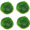 AwnsIMfreien Plantas Naturales, Confezione da 4 Palline di Muschio di Marimo Vivo, 2, 7-2, 9 cm Dopo l'immersione - Piante Naturali per Acquario per Decorazioni per acquari e Bottiglie ecologiche