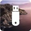 D-S Systems Installazione USB Compatibile con macOS 10.15 Catalina