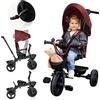 LIONELO Kori Triciclo Evolutivo 2 in 1 da 18 Mesi, Sedile Girevole 360°