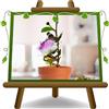 EURO PLANTS VIVAI Cappero Pianta di Capparis Spinosa