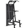 Toorx Professional Atlas Line Pin Loaded Assisted pull up/chin up/dip PLX-7530 250 Kg