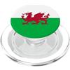 Country Flags Minimalist Graphic (Wales) Bandiera gallese del Galles PopSockets PopGrip per MagSafe