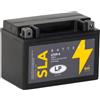 Landport Batteria AGM SLA 12V 8Ah per avviamento moto MS LTX9-4