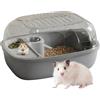 Generico Gabbia Habitat per Criceti | 2 Piani Trasparente Abitacolo per Attività per Piccoli Animali con Ruota per Esercizi - Gabbia Per Animali Di Piccola Taglia - Per Interno Ed Esterno, Viaggio, Appartament