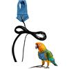 Generico Pettorina Pappagalli - Pettorina E Guinzaglio Per, Guinzaglio Inseparabili, Per Amanti Animali, Addestratori, Passeggiate, Spiaggia, Giardino, Escursioni, Picnic