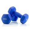 Jocca - Set manubri, Pesi 4 kg, kit palestra in casa, pesi fitness, blu (1564)