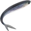 Lurrose Esca Artificiale Affondante Tonno in PVC per Pesca