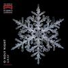 Choir of St. John's College, Camb The Choir of St John's Cambridge: O Holy (CD)