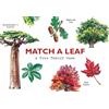 Laurence King Publishing Match a Leaf: A Tree Memory Game: 1