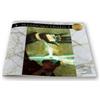 Bruce Dickinson The Mandrake Project Issue #2 (Tascabile)