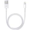 Apple cavo da lightning a usb 0.5mt