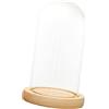 FytStycale Mini Cupola Espositore Vetrina in Vetro Contenitore Piante con Base Legno Campana Decorativa per Casa Cameretta, 15 x 25 cm
