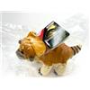 TAKARA TOMY ARTS Peluche Jurassic World Rebirth Aquilops TAKARATOMY ARTS dal Giappone nuovo H1...