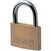 Master Lock CAD20 Magnum Piccolo Lucchetto in Ottone Massiccio e Chiave, Oro, 3.4 x 2 x 0.8 cm