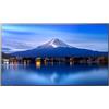 Sharp P556, 55 P-Series LFD, UHD PNP556
