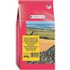 Versele-Laga Semi di Girasole Piccolo Striato 600GR