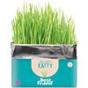 Best Friend Katty Erba Gatta per Gatti - Confezione da 120 gr