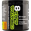 NET INTEGRATORI FARMACIA CREATINA ALKA 8 ARANCIA 200 G
