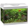 Amtra Basic 40 LED - Acquario completo di 65 litri, illuminazione LED 8500 5W, incluso filtro Filtering Box 50, 42x23x33 cm, bianco