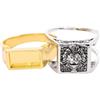 PACKOVE 2pezzi Anello Unisex Con Compartimento Segreto Forma Di Leone Accessorio Vintage Per Uomini Memorabile Per Feste e Occasioni Speciali